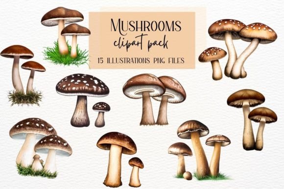 Enchanting Vintage Watercolor Mushrooms for Creative Projects