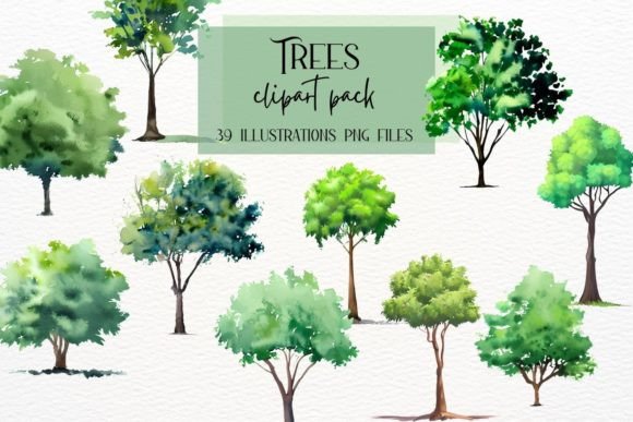 Tree Watercolor Clipart: 39 Forest Trees for Creative Designs